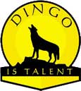 Dingo is Talent